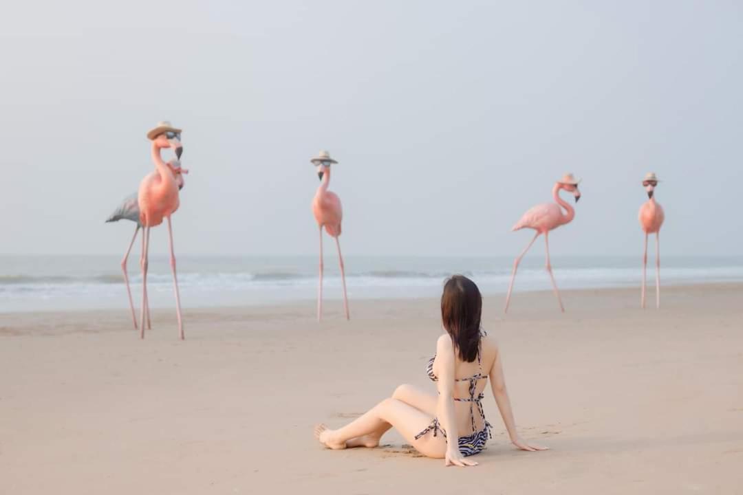 Ib306 Tu Doanh - Flamingo Hai Tien Thanh Hoa Exterior photo